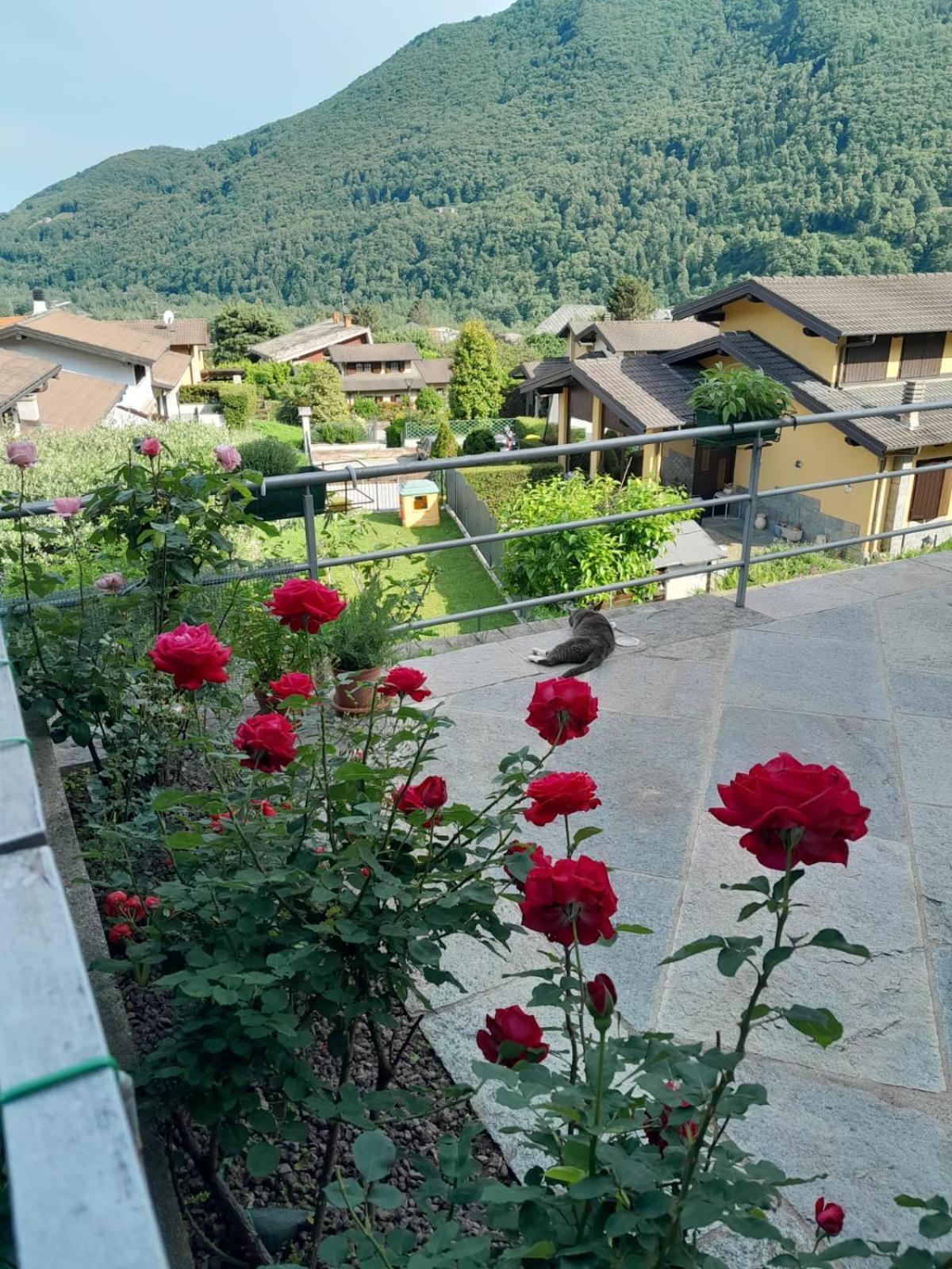 Casa Vacanze Le Tre Sorelle Torre Pellice Exterior photo
